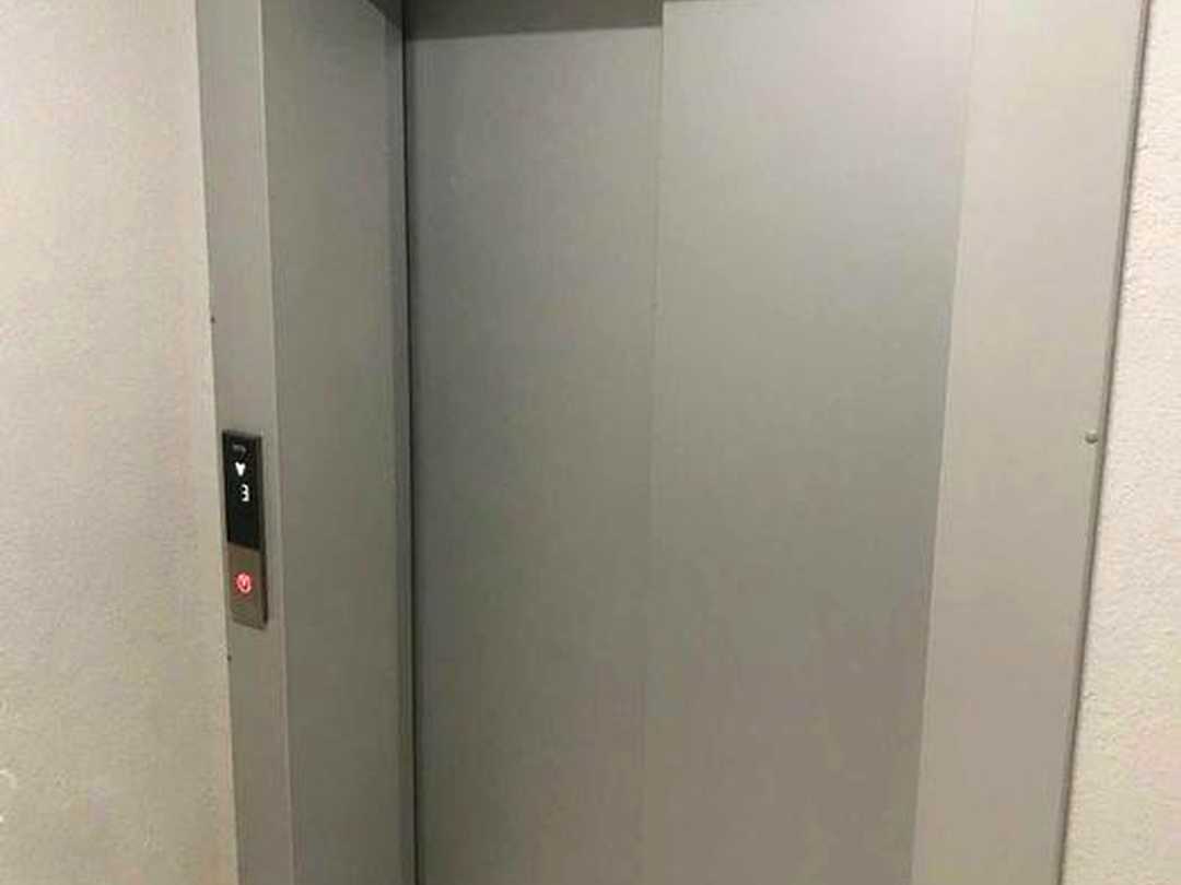 Шевченківський, Київ